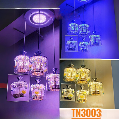 Đèn thả led 3003/5